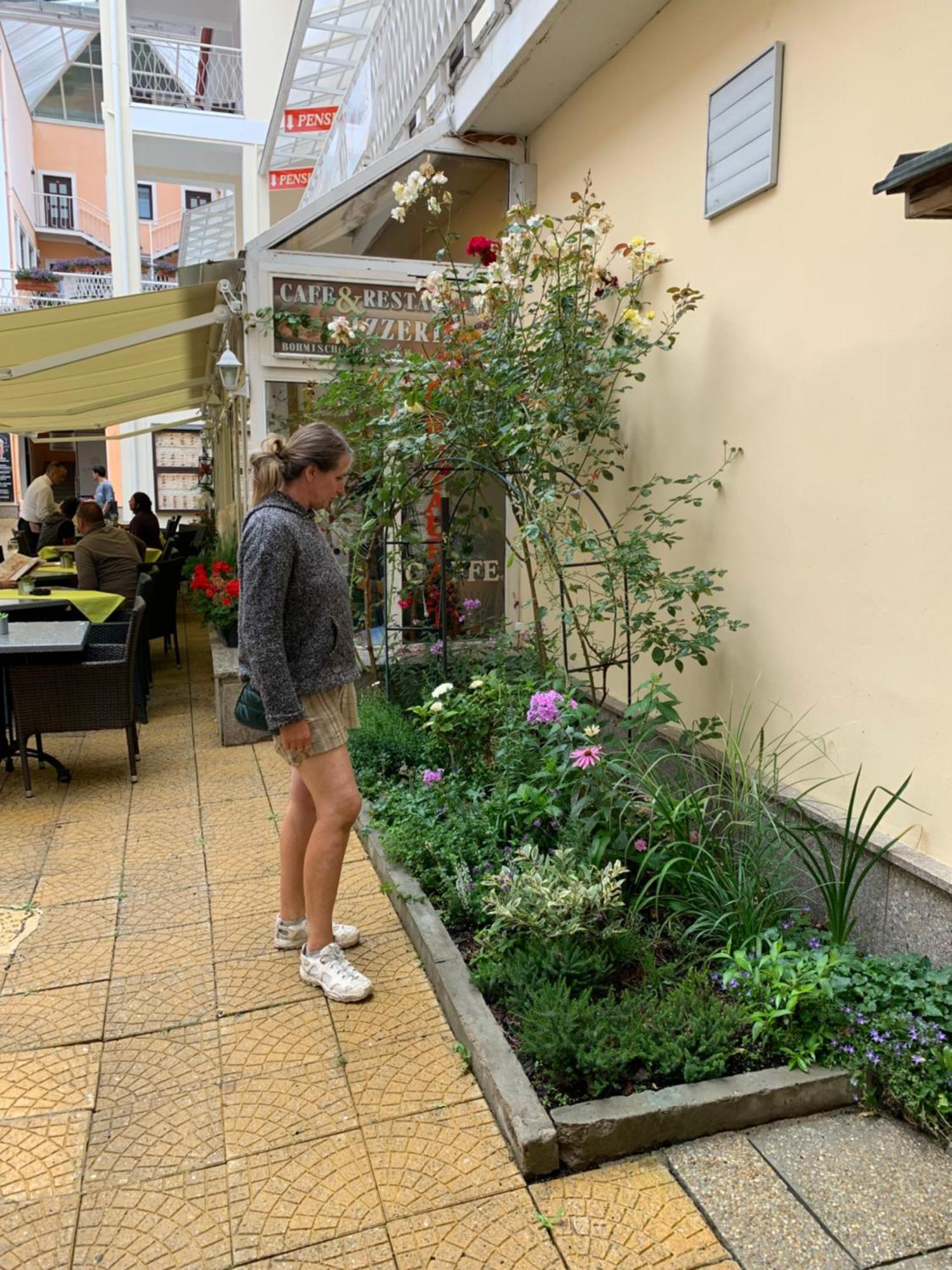 Apartma La Provence มาเรียอานซเกลาซนี ภายนอก รูปภาพ